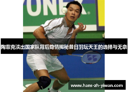 陶菲克淡出国家队背后隐情揭秘昔日羽坛天王的选择与无奈