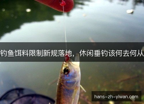 钓鱼饵料限制新规落地，休闲垂钓该何去何从